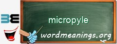 WordMeaning blackboard for micropyle